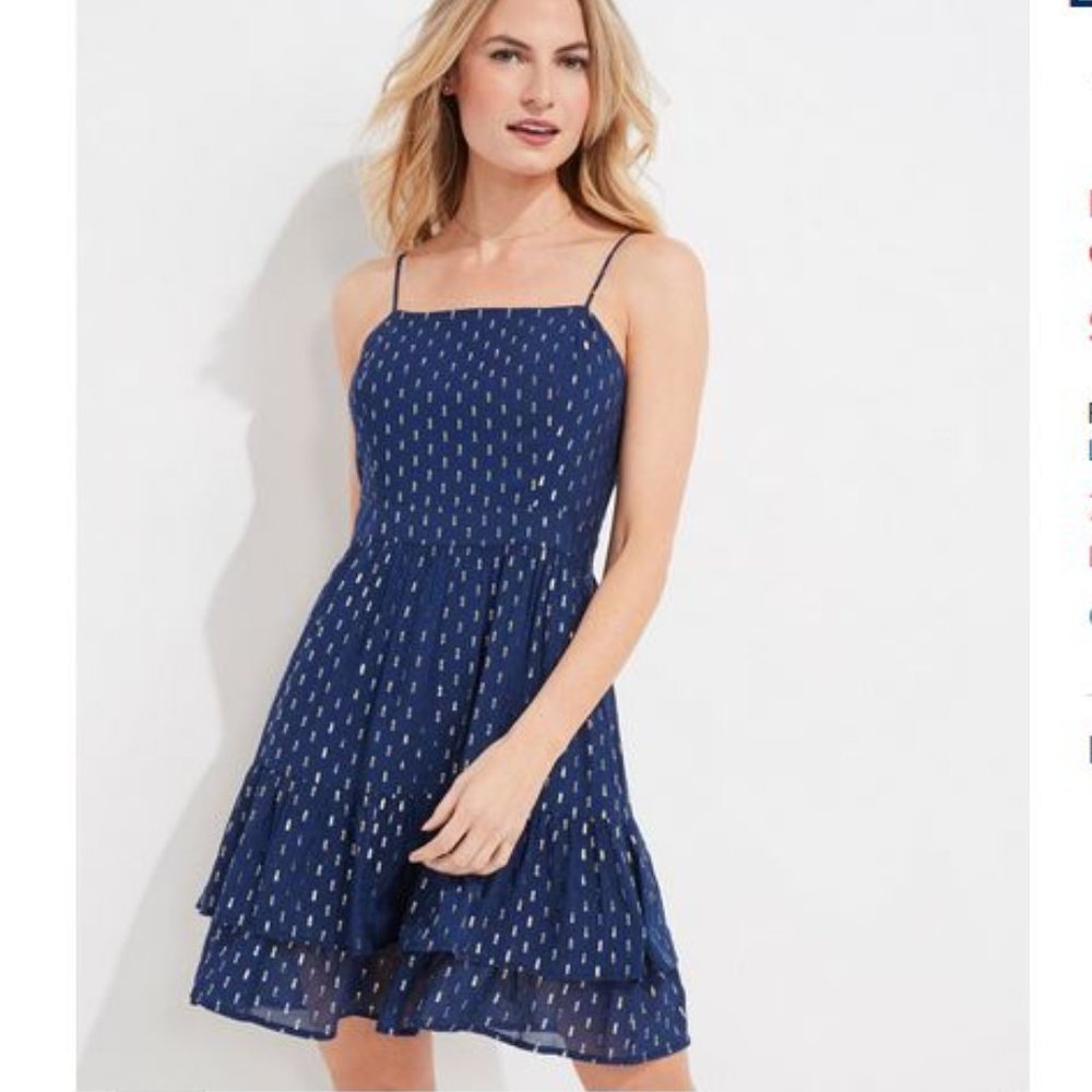 Stunning Vineyard Vine Lurex Clip Dot Ruffle Dress - NWT - Picture 12 of 12